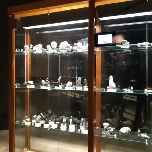 La vetrina nel museo