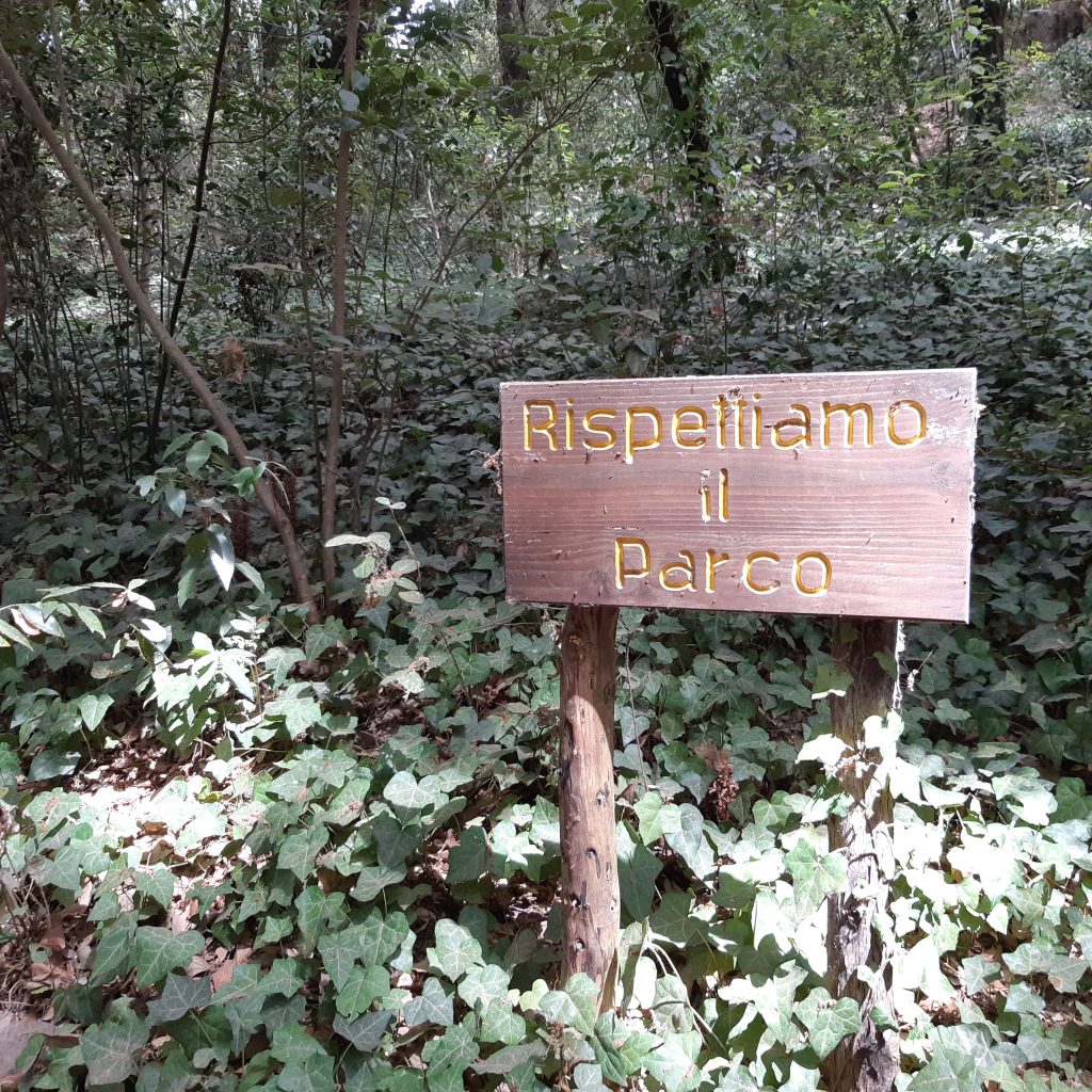 Proteggiamo la natura e lasciamola viverejpg